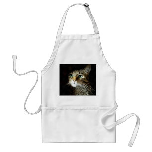 Avental Gato Tabby Com Olhos Verdes Isolado No Preto