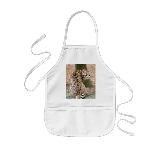 Avental Infantil geoffroy-cat-004 (Frente)