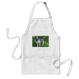 Avental Islandhund