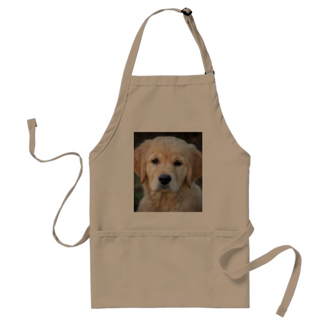 Avental Ouro Retriever Puppy (Frente)