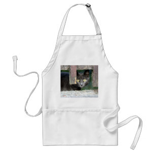 Avental Photo cat , pet , animais 0008.