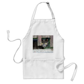 Avental Photo cat , pet , animais 0008.