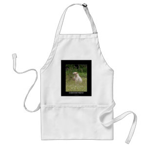 Avental Presentes do Urso Espirituoso