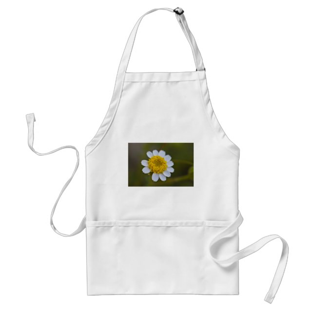 Avental Rock Daisy Apron (Frente)