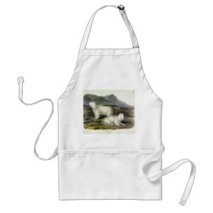Avental Rocky Mountain Goat (Americana de Capra por Audubo