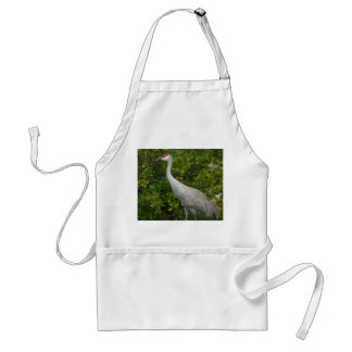Avental Sandhill Crane Bird Foto
