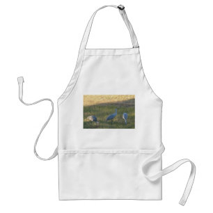 Avental Sandhill Cranes Grazing em Grass Photo Apron