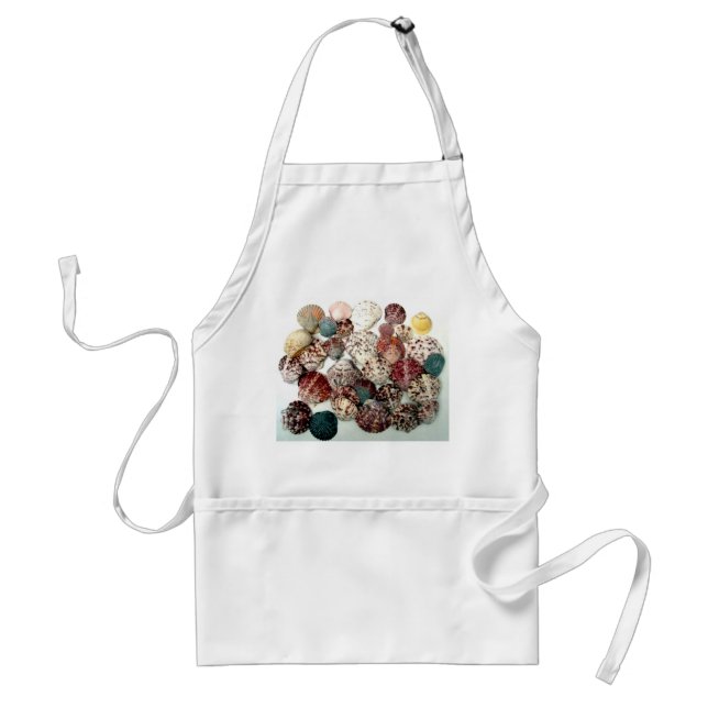 Avental Seashells Apron (Frente)