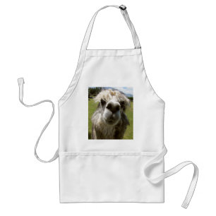 Avental Uma alpaca desgrenhado