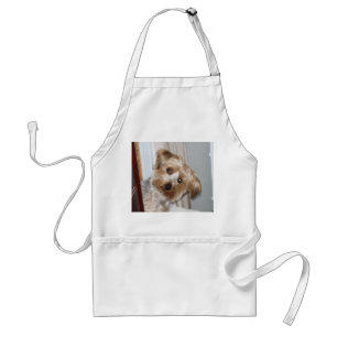 Avental Yorkie espreitando ao redor do canto