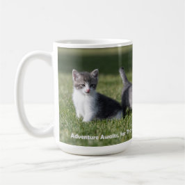 Aventura aguarda a caneca de gato