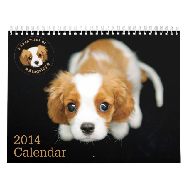 Aventuras do calendário de Kingsley 2014 (Capa)