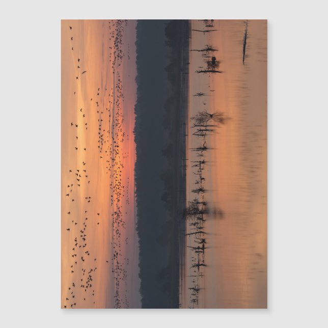 Aves ao nascer do sol (Frente)