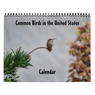 Aves Comuns no Calendário dos Estados Unidos