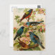 Aves da América do Norte | Cartão postal Gustav Mu (Frente/Verso)
