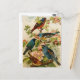 Aves da América do Norte | Cartão postal Gustav Mu (Frente/Verso In Situ)