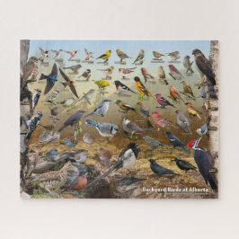 Aves de Alberta Quebra-cabeça
