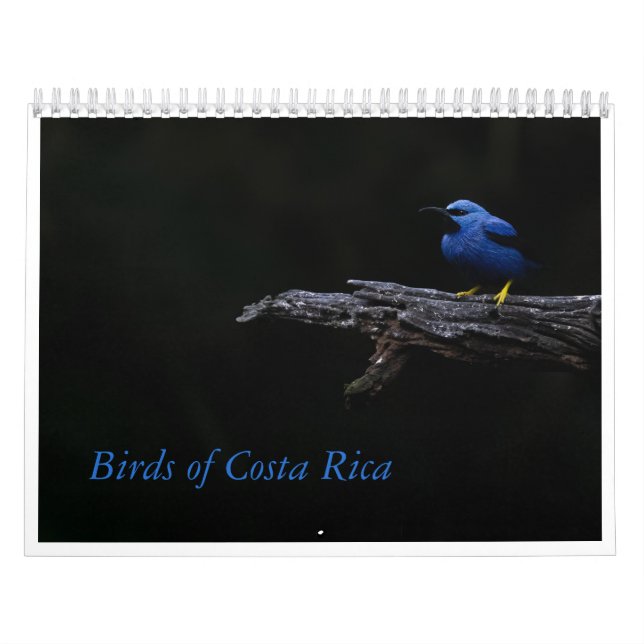 Aves do Calendário da Costa Rica (Capa)