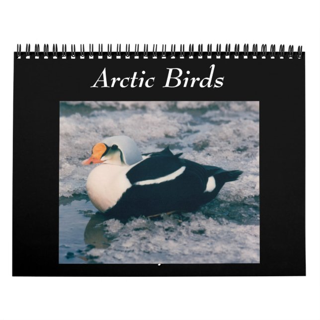 Aves Do Calendário Fotográfico Ártico Alasca (Capa)