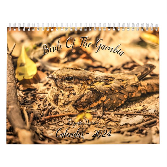 Aves do Calendário Gâmbia 2024 (Capa)
