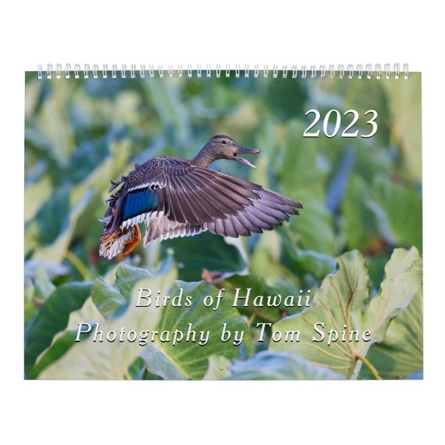 Aves do Havaí - Calendário 2023 (Capa)