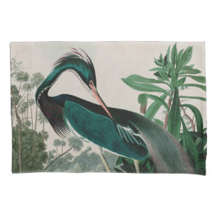 Aves do Herão da Louisiana da Impressão de Audub