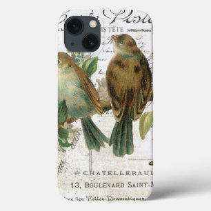 Aves e aves francesas do Modern Vintage