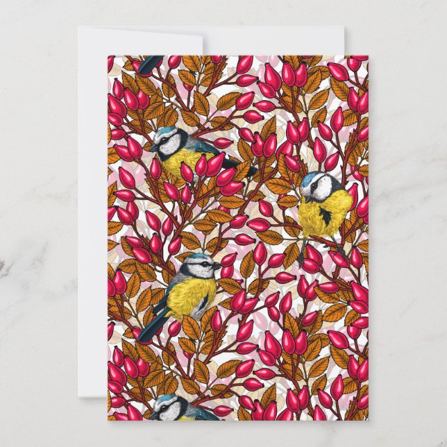 Aves e rosa de cães (Frente)