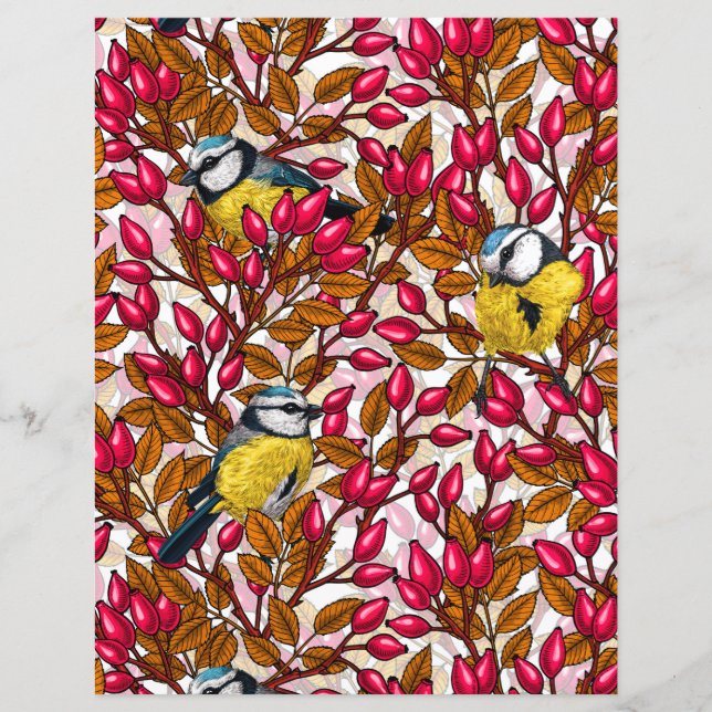 Aves e rosa de cães (Frente)