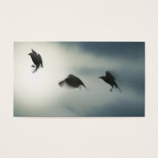 Aves Em Movimento (Frente)