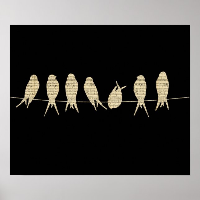 Aves Em Um Poster De Fio (Frente)