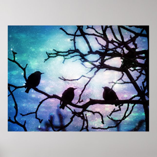 Aves em uma ramificação - Poster de luz estelar (Frente)