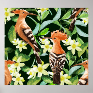Aves Exóticas: Impressão de Vintagem Tropical