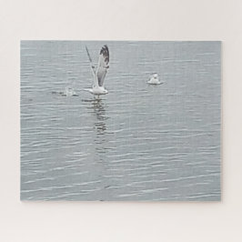 Aves Na Quebra-cabeça Do Vaso De Água