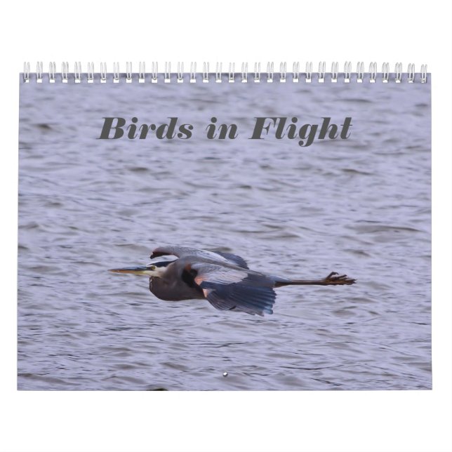 Aves no Calendário de Voo (Capa)