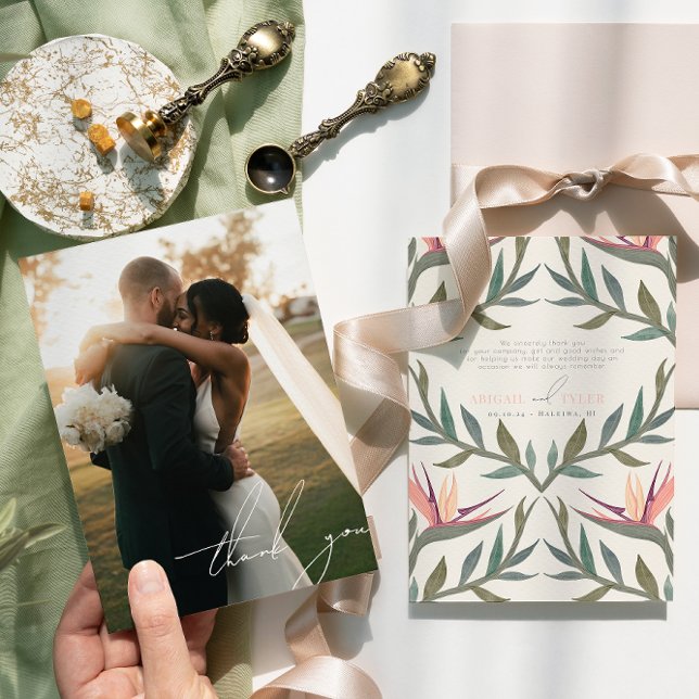 Aves no Paraíso Cartões de agradecimentos Fotográf (Criador carregado)