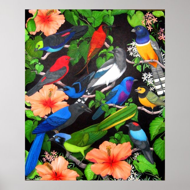 Aves Selvagens da América Central Poster (Frente)