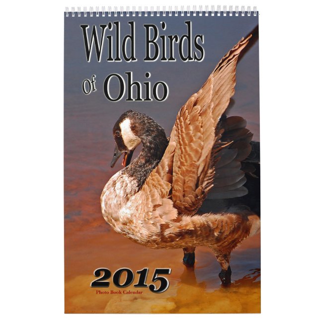 Aves Selvagens Do Calendário De Ohio (Capa)