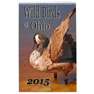 Aves Selvagens Do Calendário De Ohio