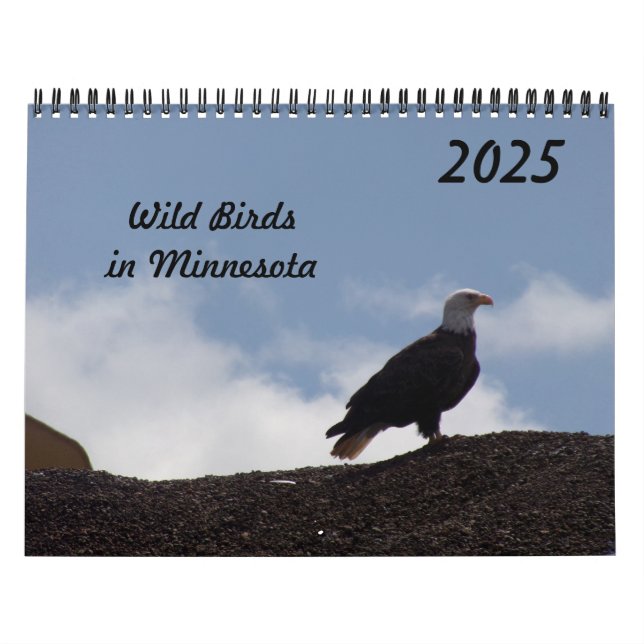 Aves Selvagens no Minnesota Calendário 2025 (Capa)
