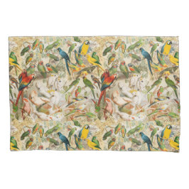 Aves Tropicais Elegantes Vintage