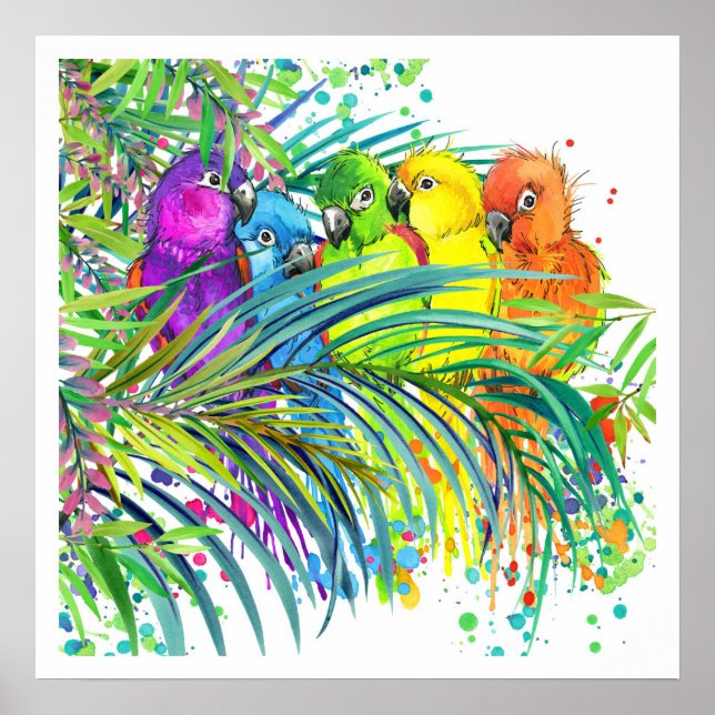 Aves tropicais Poster (Frente)