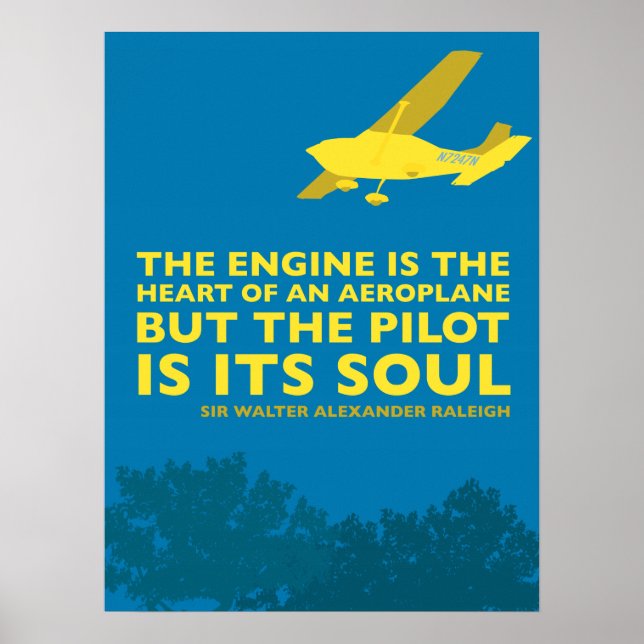 Avião inspirador e poster voador (Frente)