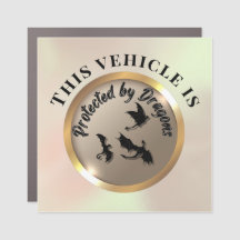 Aviso de dragões protegidos