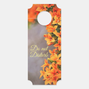 Aviso De Porta Floral Não Incomodar Perigo Da Porta