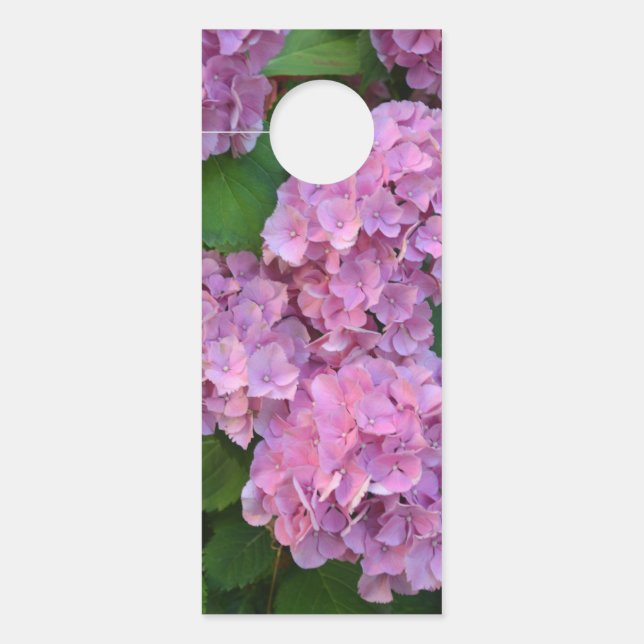Aviso De Porta Flores rosa pastel Hortensia hydrangea (Frente)