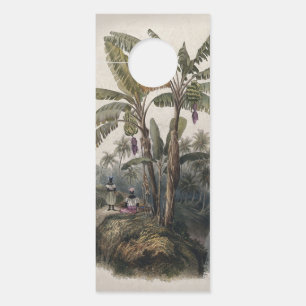 Aviso De Porta Floresta Antiga de Bananeiras Tropicais Bota Vin