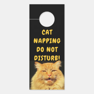 Aviso De Porta O gato de fala diz bate por favor Napping