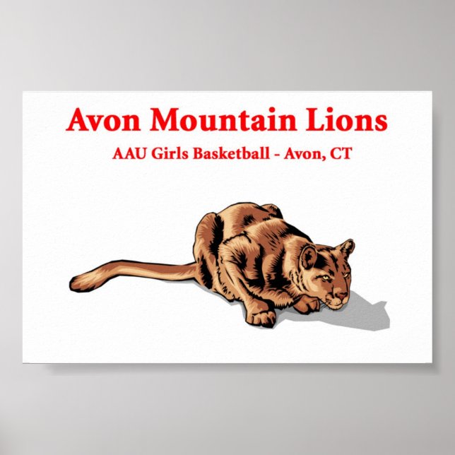 Avon Mountain Lions - Poster do Clube de Basquete (Frente)