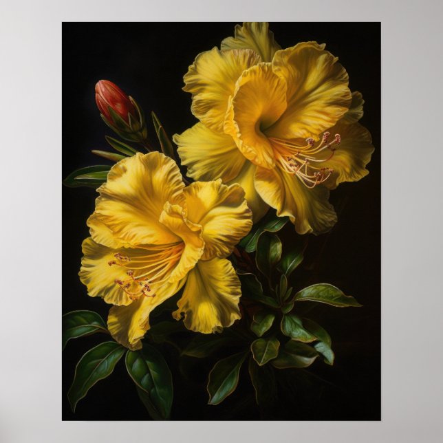 Azalea Amarelo Flores Impressão (Frente)